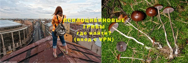 шишки Осинники