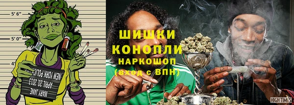 шишки Осинники
