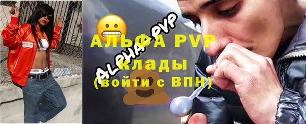 шишки Осинники