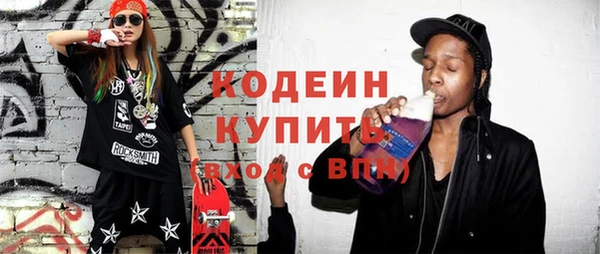 шишки Осинники
