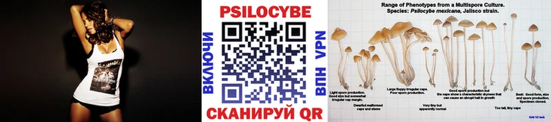 Галлюциногенные грибы мухоморы  Рославль 